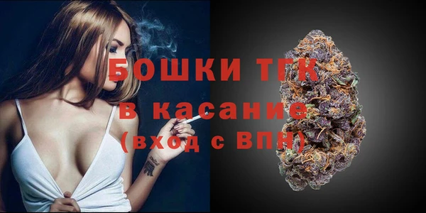 spice Вяземский