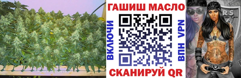 Купить закладки  Старая Русса  ТГК THC oil 